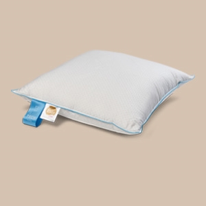 Kussen gidsen Kussen gidsen